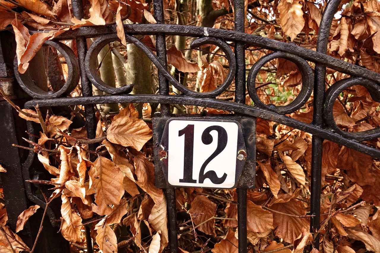 Tips to Expedite Your DOT Number Application