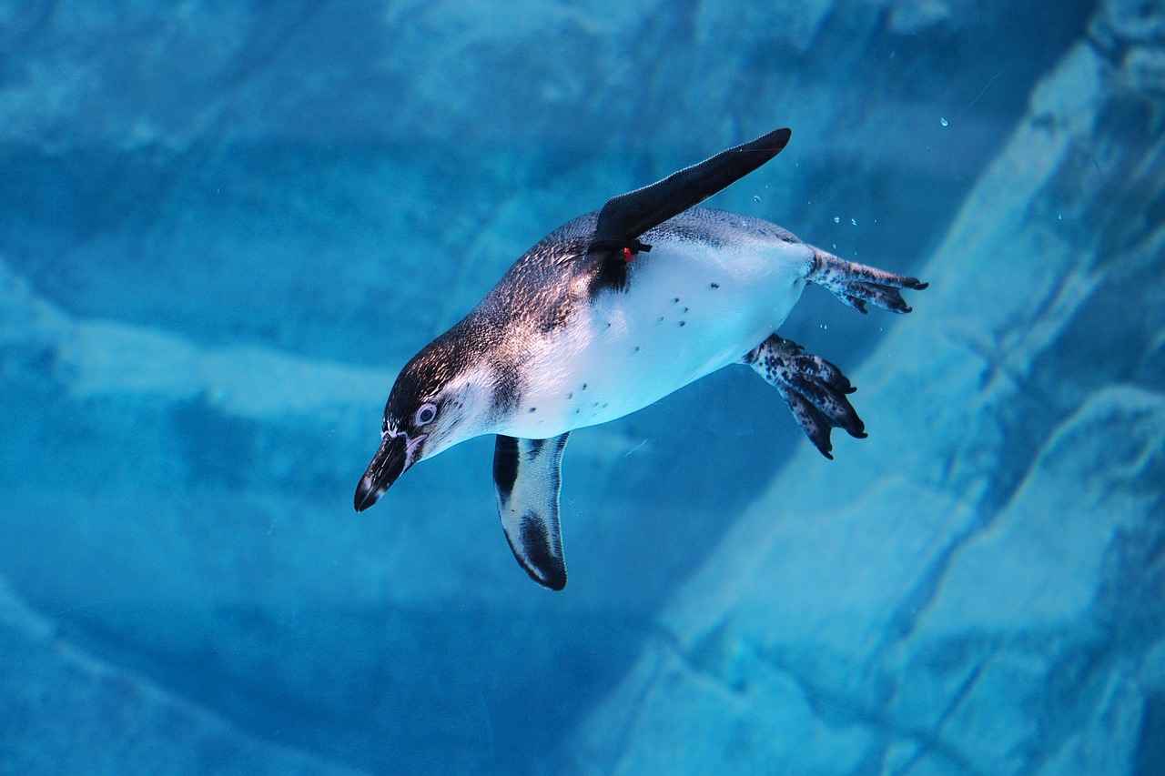 The Role of Instructors and Coaching