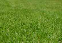 How Long Does It Take to Mow a 5-Acre Lot? Tips & Tricks How Long Does It Take to Mow a 5-Acre Lot? Tips & Tricks