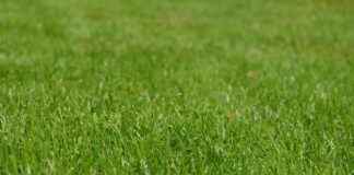 How Long Does It Take to Mow a 5-Acre Lot? Tips & Tricks How Long Does It Take to Mow a 5-Acre Lot? Tips & Tricks