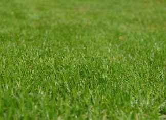 How Long Does It Take to Mow a 5-Acre Lot? Tips & Tricks How Long Does It Take to Mow a 5-Acre Lot? Tips & Tricks