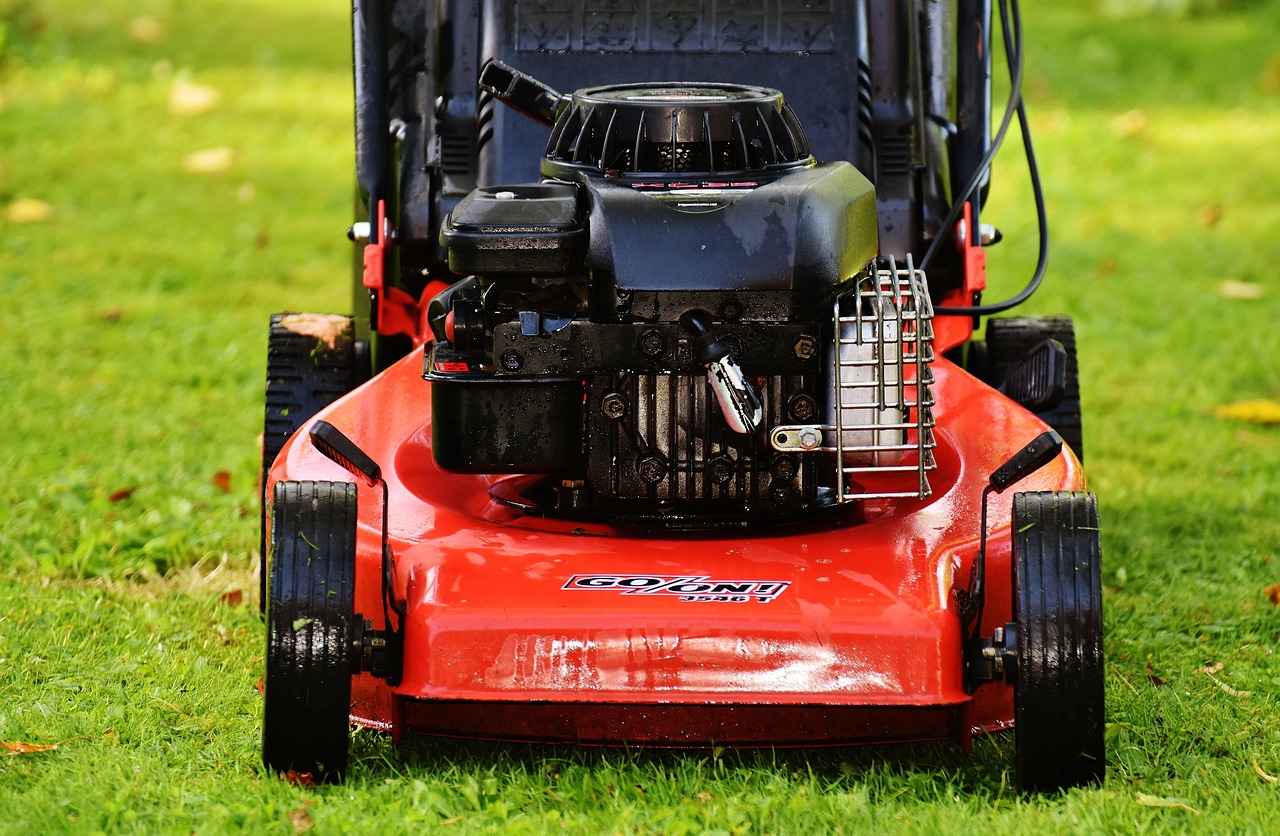 Common Mistakes in Lawn Watering