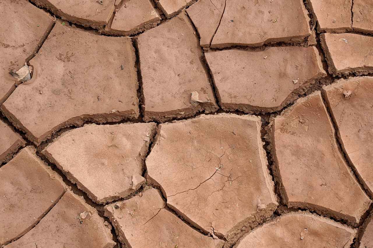 Storage Tips for Dehydrated Jerky