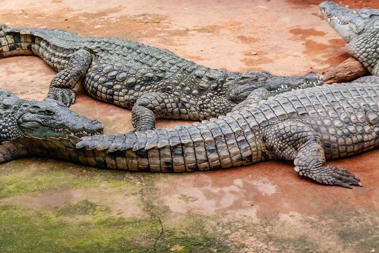 When to Contact Your Dentist