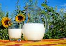 How Many mg of Kava Do You Need to Feel Its Effects? How Many mg of Kava Do You Need to Feel Its Effects?