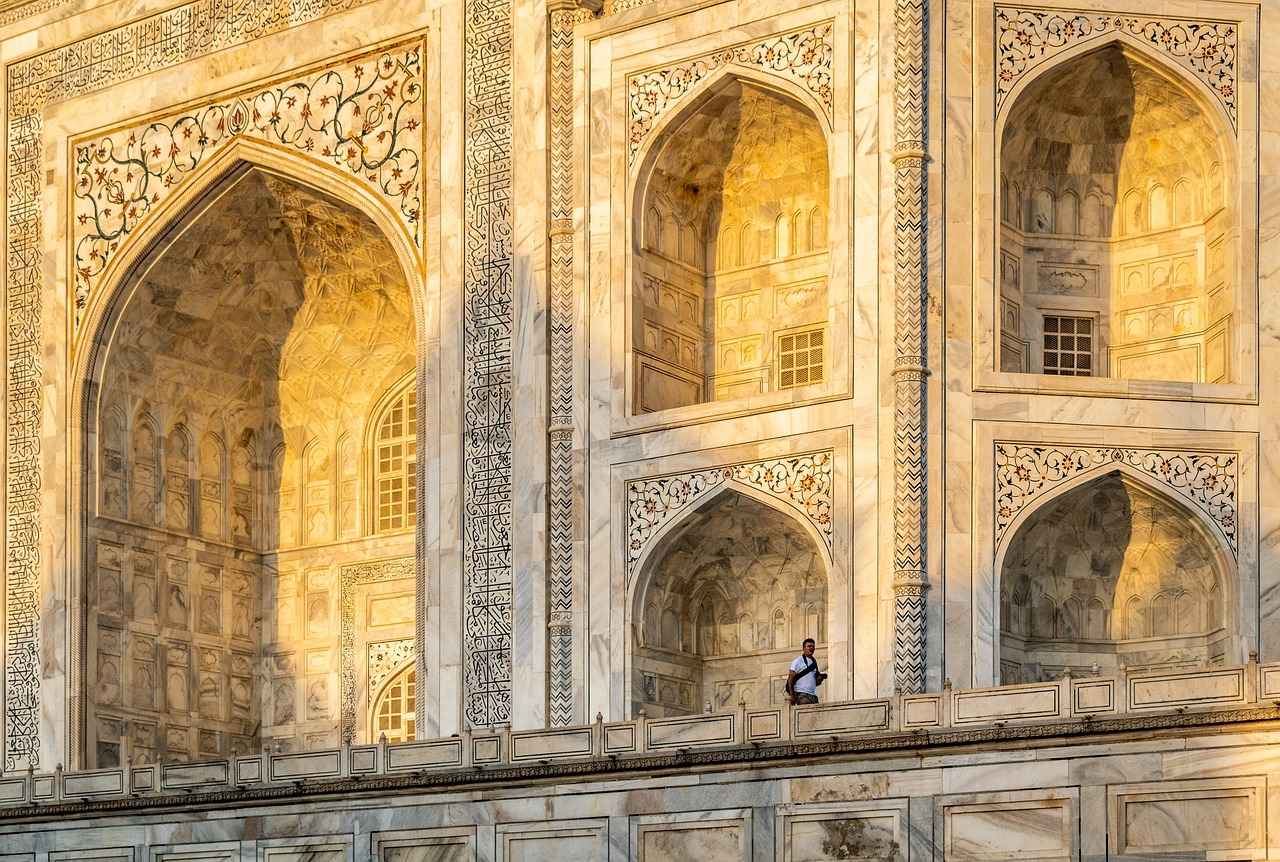 How Many Phones Can You Bring to India?