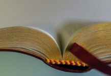 How Many Websites Are Dedicated to the Bible? A Surprising Look How Many Websites Are Dedicated to the Bible? A Surprising Look