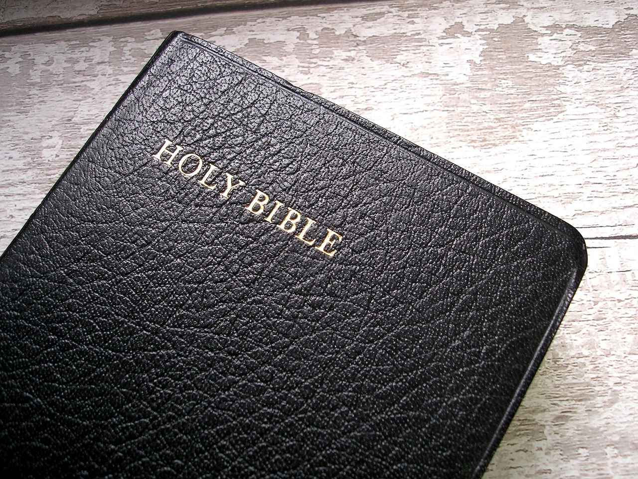 Understanding the Scope of Biblical Websites