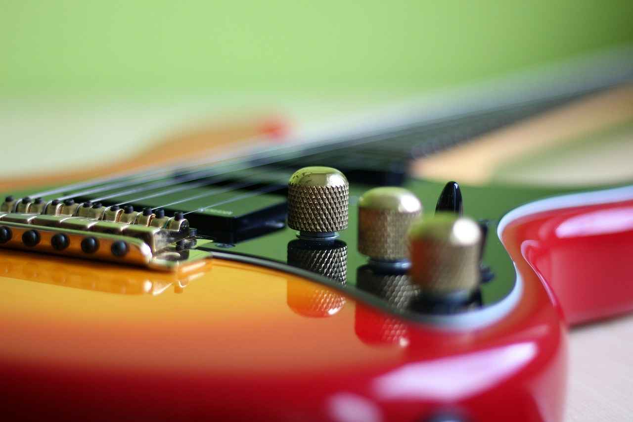Best Carriers for Shipping Guitars