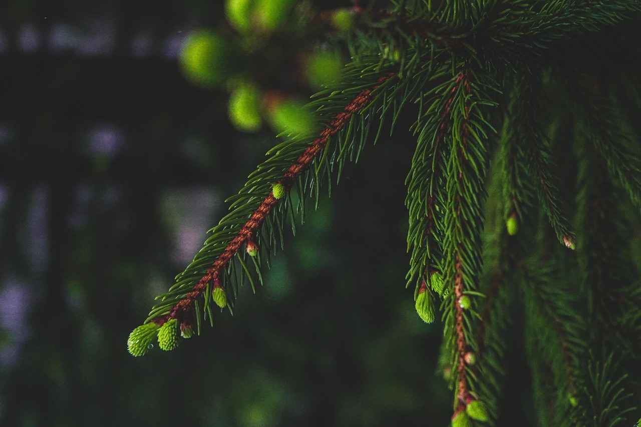 How Much Should You Charge for a Pin Video? 7 Future of Pin Video Pricing