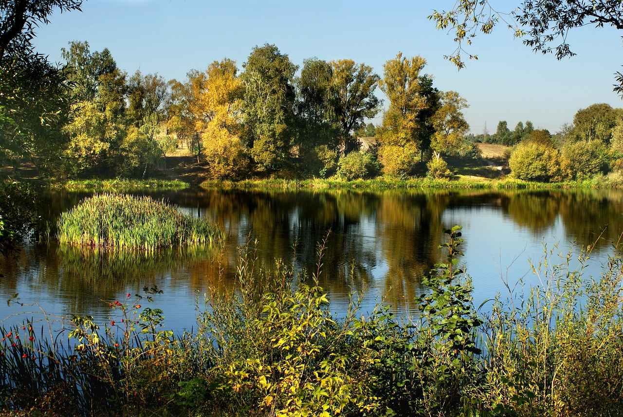 How Long Does the Licensing Process Take?