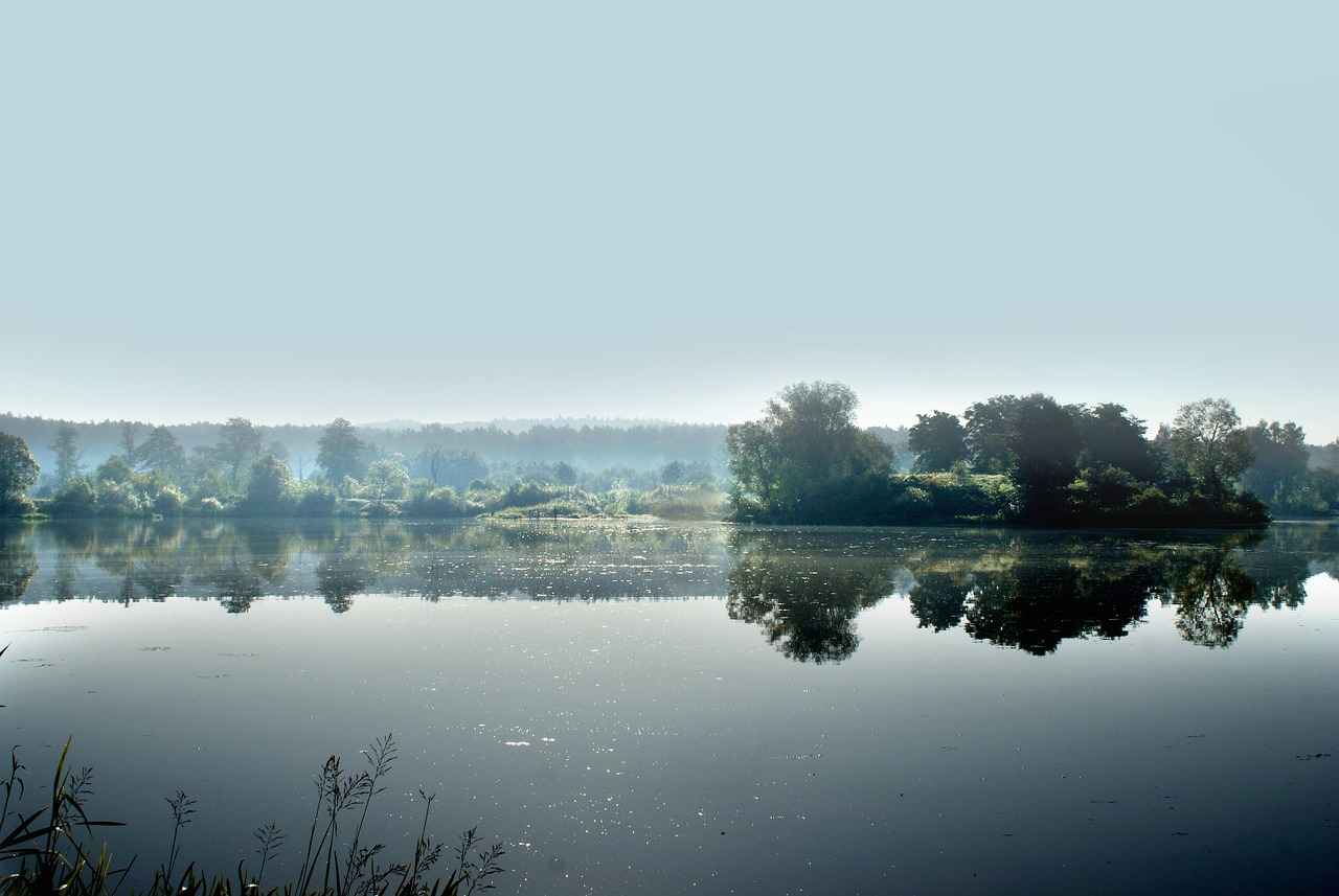 Licensing Fees and Costs