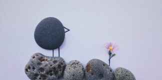 How to Make Cyanotype Bandanas How to Make Cyanotype Bandanas