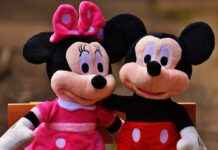 How to Remove Mouse Trap Glue: Quick and Easy Solutions How to Remove Mouse Trap Glue: Quick and Easy Solutions