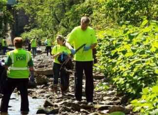 How to Remove Window Tint Residue: Simple Solutions How to Remove Window Tint Residue: Simple Solutions