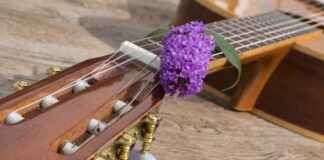 How to Sharpen a Paralyzer Spear: A Step-by-Step Tutorial How to Sharpen a Paralyzer Spear: A Step-by-Step Tutorial