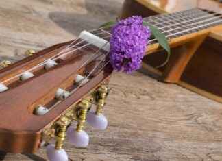 How to Sharpen a Paralyzer Spear: A Step-by-Step Tutorial How to Sharpen a Paralyzer Spear: A Step-by-Step Tutorial