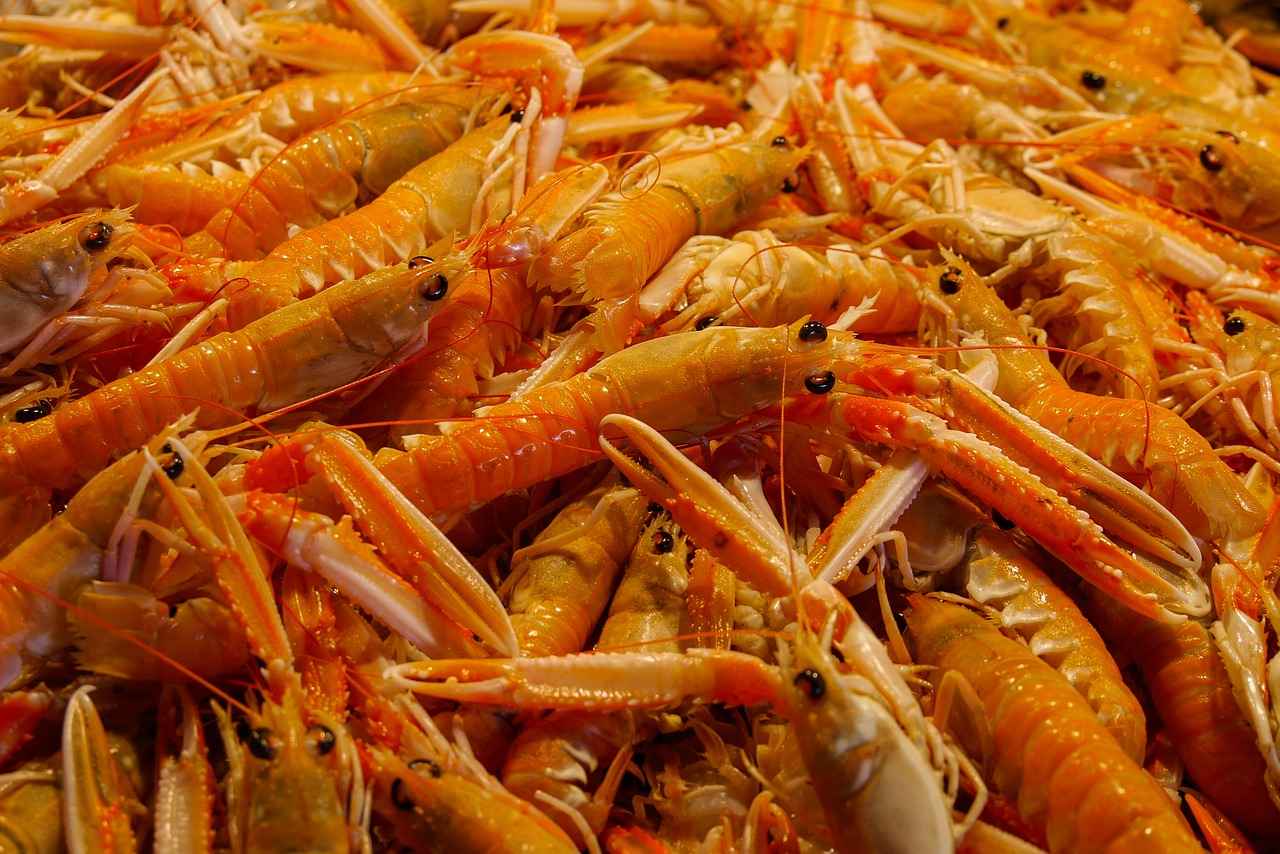 Techniques for Catching Lobsters