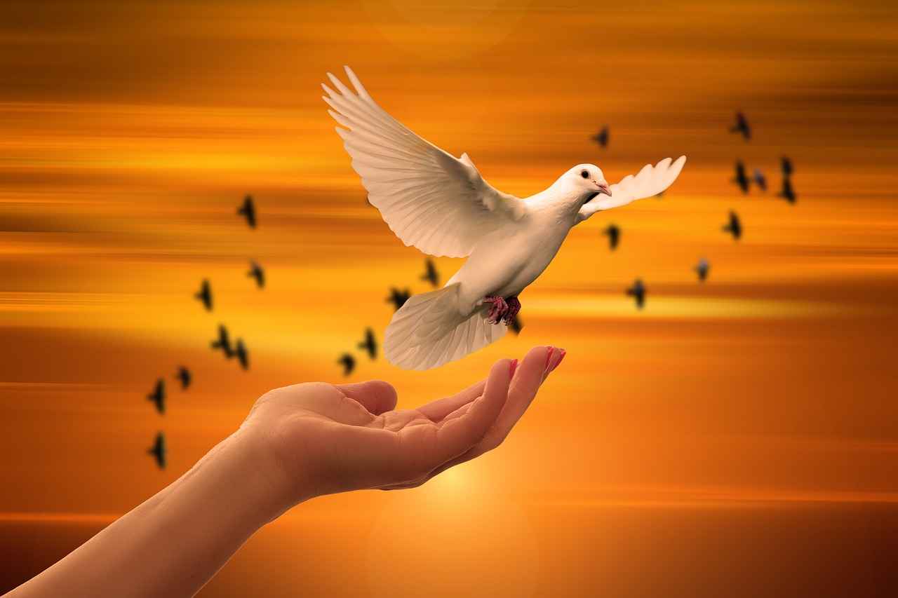 The Importance of Prayer in Daily Devotion