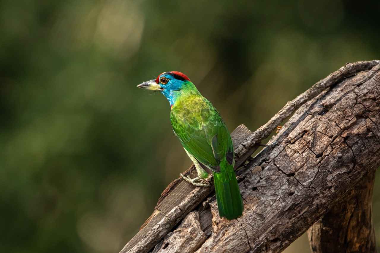 How to Sublimate on Wood: A Creative DIY Guide 5 Post-Sublimation Finishing Touches