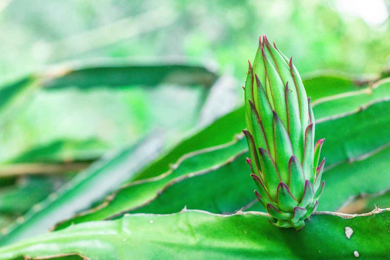 Conclusion: Thriving in a Time-Limit Novel