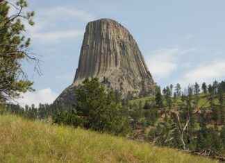 How to Survive as the Devil’s Daughter: Plot and Survival Tips How to Survive as the Devil’s Daughter: Plot and Survival Tips