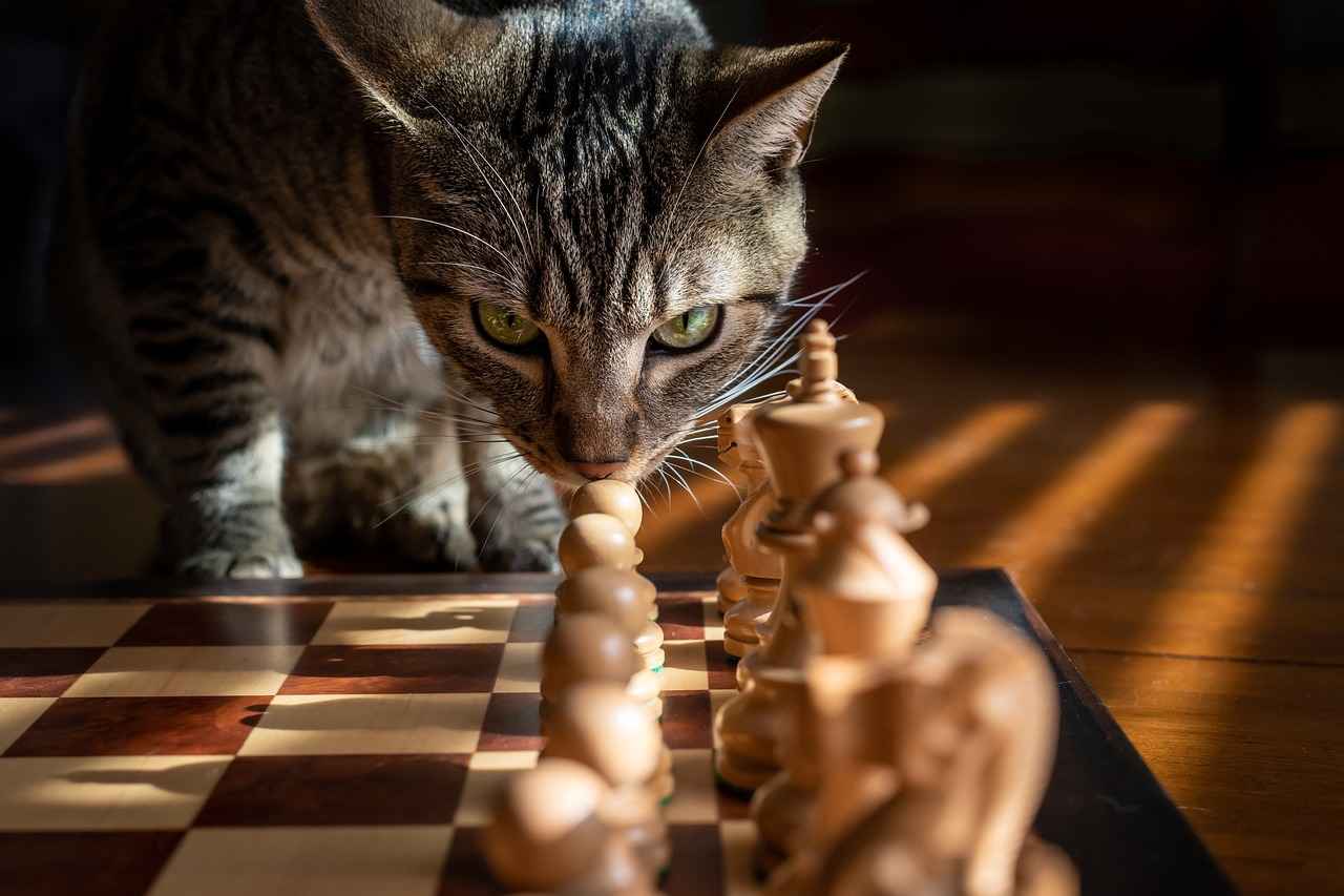 Survival Strategies in a Hostile Environment