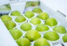 How to Use Fu Bao in Recipes: A Guide to This Unique Ingredient How to Use Fu Bao in Recipes: A Guide to This Unique Ingredient