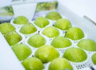 How to Use Fu Bao in Recipes: A Guide to This Unique Ingredient How to Use Fu Bao in Recipes: A Guide to This Unique Ingredient