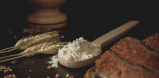 How to Use Kenba: A Beginner’s Guide to Cooking with Kenba How to Use Kenba: A Beginner’s Guide to Cooking with Kenba