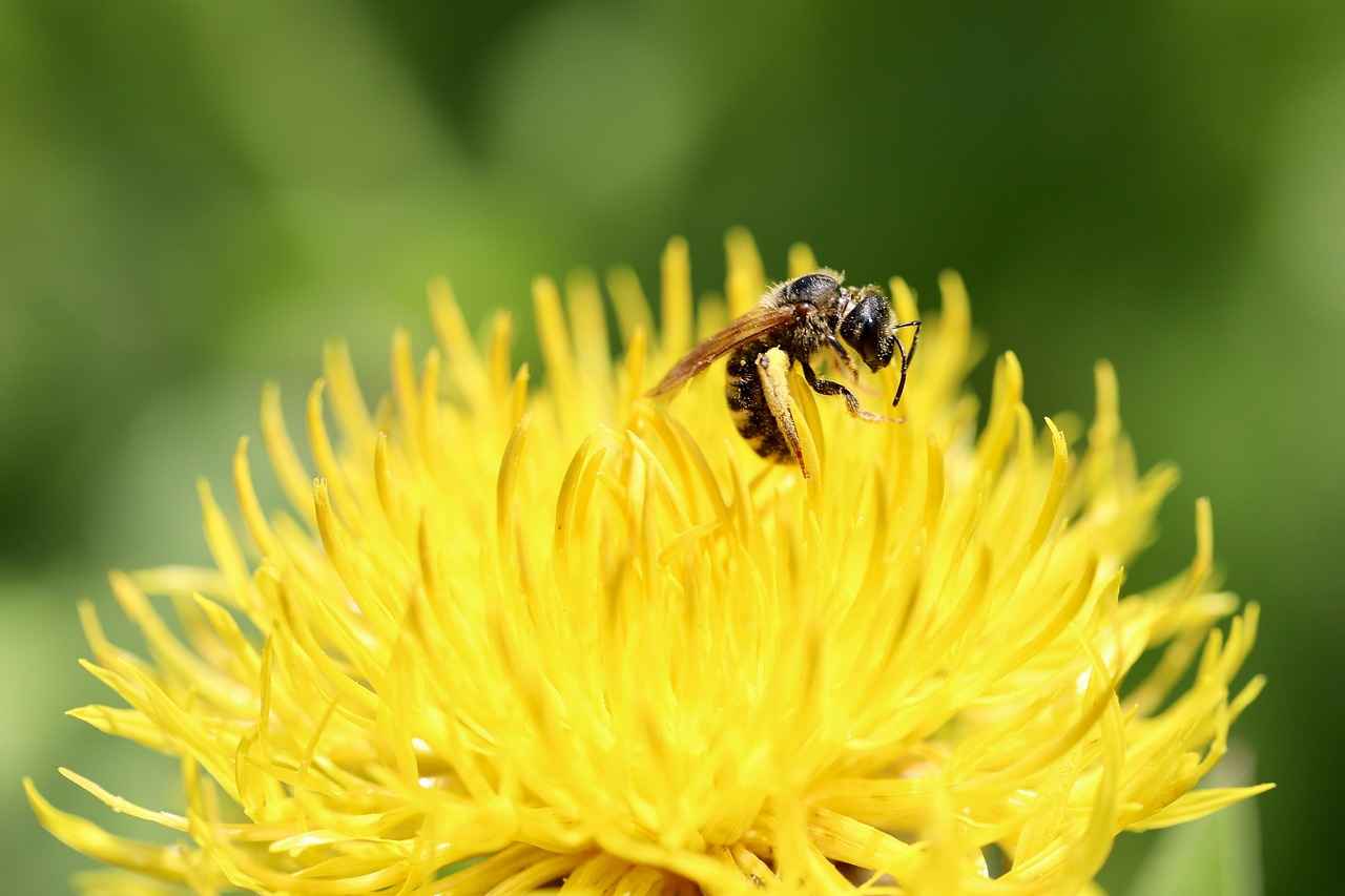 Common Mistakes When Writing Large Numbers