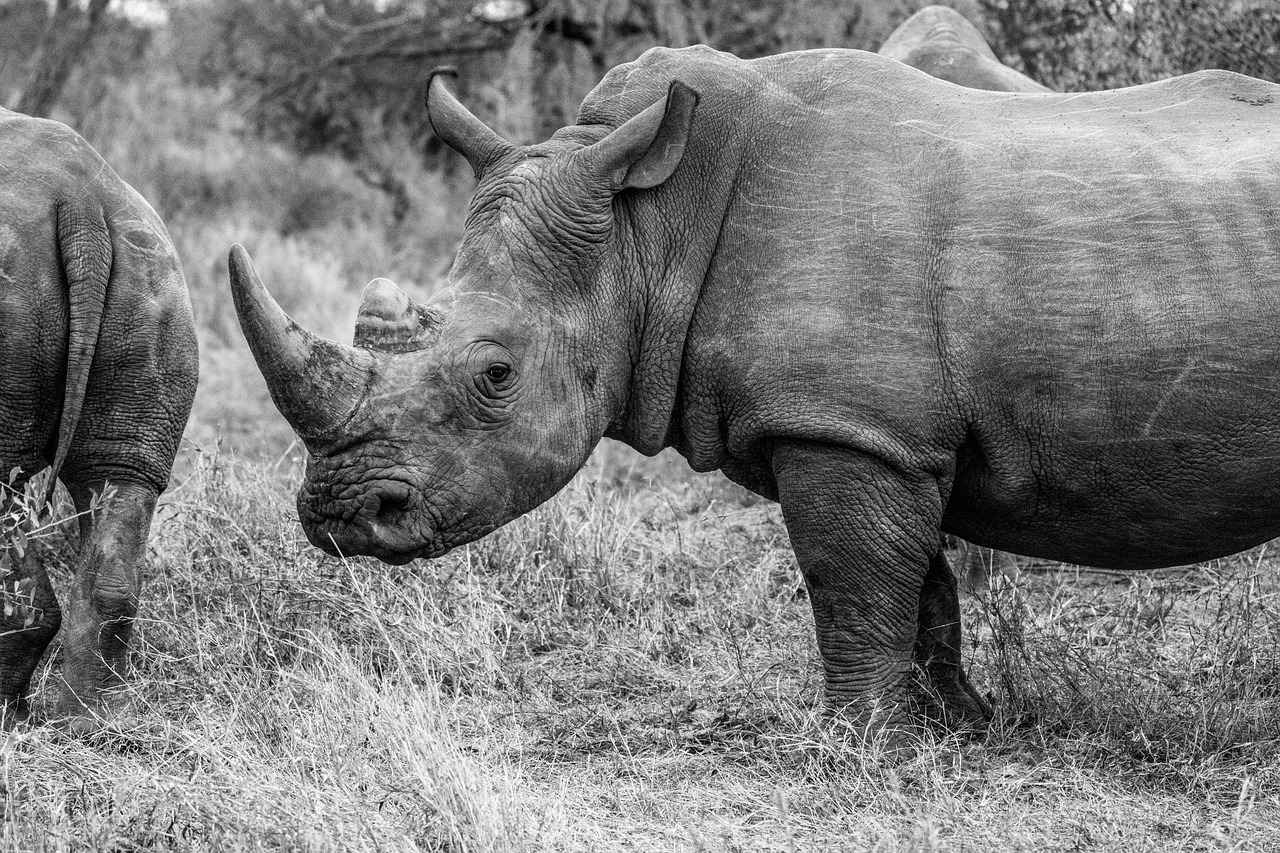 Practical Tips for Writing Large Numbers