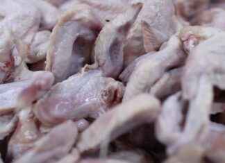 JBS USA News: Meat Industry Trends and Market Updates JBS USA News: Meat Industry Trends and Market Updates