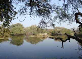 Mother Earth News Fair 2024 Schedule USA: Event Highlights and Speakers Mother Earth News Fair 2024 Schedule USA: Event Highlights and Speakers