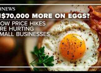 Impact of Rising Egg Prices on Small Businesses: $70K/year Increase mpact-of-rising-egg-prices-on-small-businesses-70kyear-ncrease
