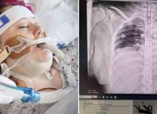 My Year-Long Vaping Journey: A Near-Death Experience my-year-long-vaping-journey-a-near-death-experience