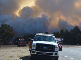 nvestigation-backyard-smores-linked-to-long-sland-brush-fires