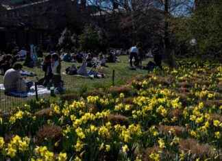 NYC Weekend Forecast: Spring-Like Weather Ahead nyc-weekend-forecast-spring-like-weather-ahead