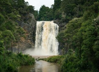 Explore Flixtor.to: Stream Safely in 2023