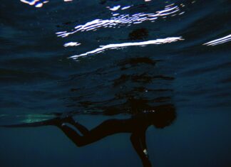 Exploring the Shadows: A Deep Dive into nhentai.net