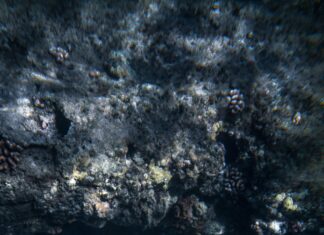 Explore the Enigma: A Deep Dive into CrypticStreet.com