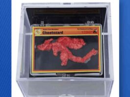 rare-pokmon-shaped-cheeto-cheetozard-sells-for-88k-at-auction