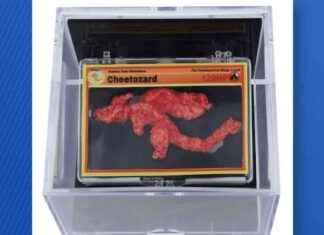 Rare Pokémon-shaped Cheeto ‘Cheetozard’ Sells for $88K at Auction rare-pokmon-shaped-cheeto-cheetozard-sells-for-88k-at-auction