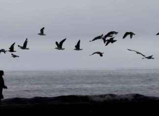 Southern California’s Wet Weather Outlook: End in Sight? southern-californias-wet-weather-outlook-end-in-sight