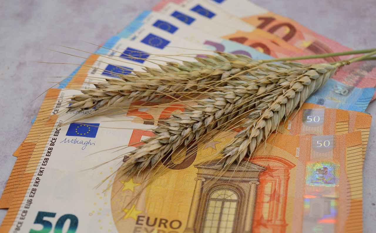 Government Policies Addressing Inflation: An Analysis