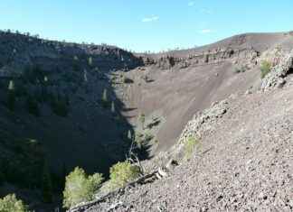 USA News in Telugu: Breaking Stories and Regional Perspectives USA News in Telugu: Breaking Stories and Regional Perspectives