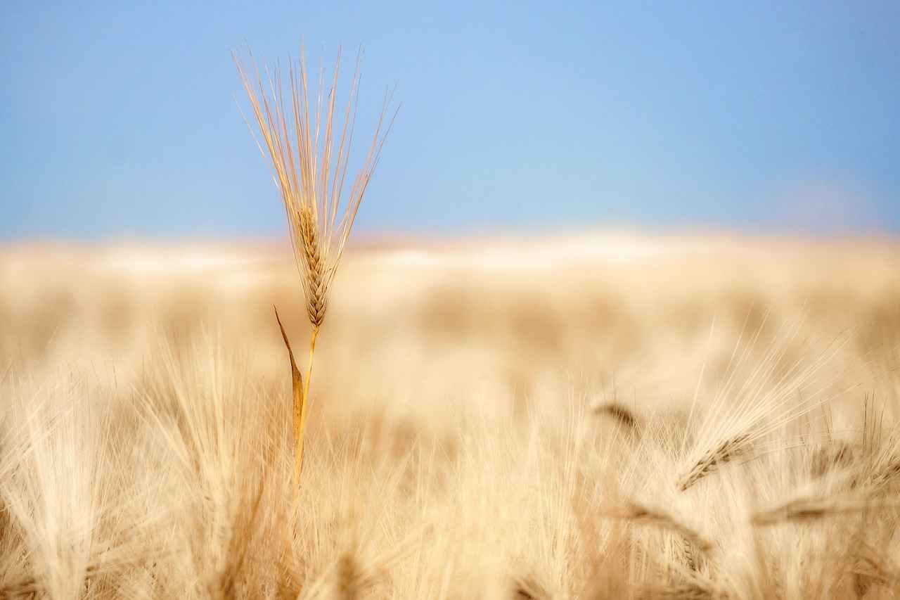 Economic Updates from the USA