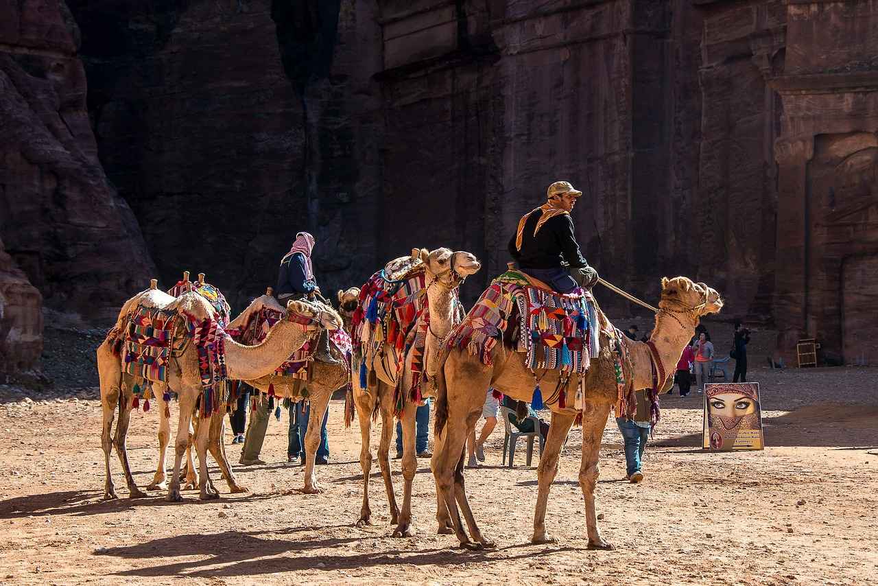 Cultural Events and Trends