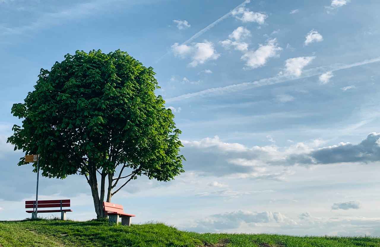 Overview of USAA Bank's Financial Products