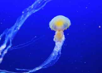 USAA Life Insurance Company News: Industry Insights and Updates USAA Life Insurance Company News: Industry Insights and Updates